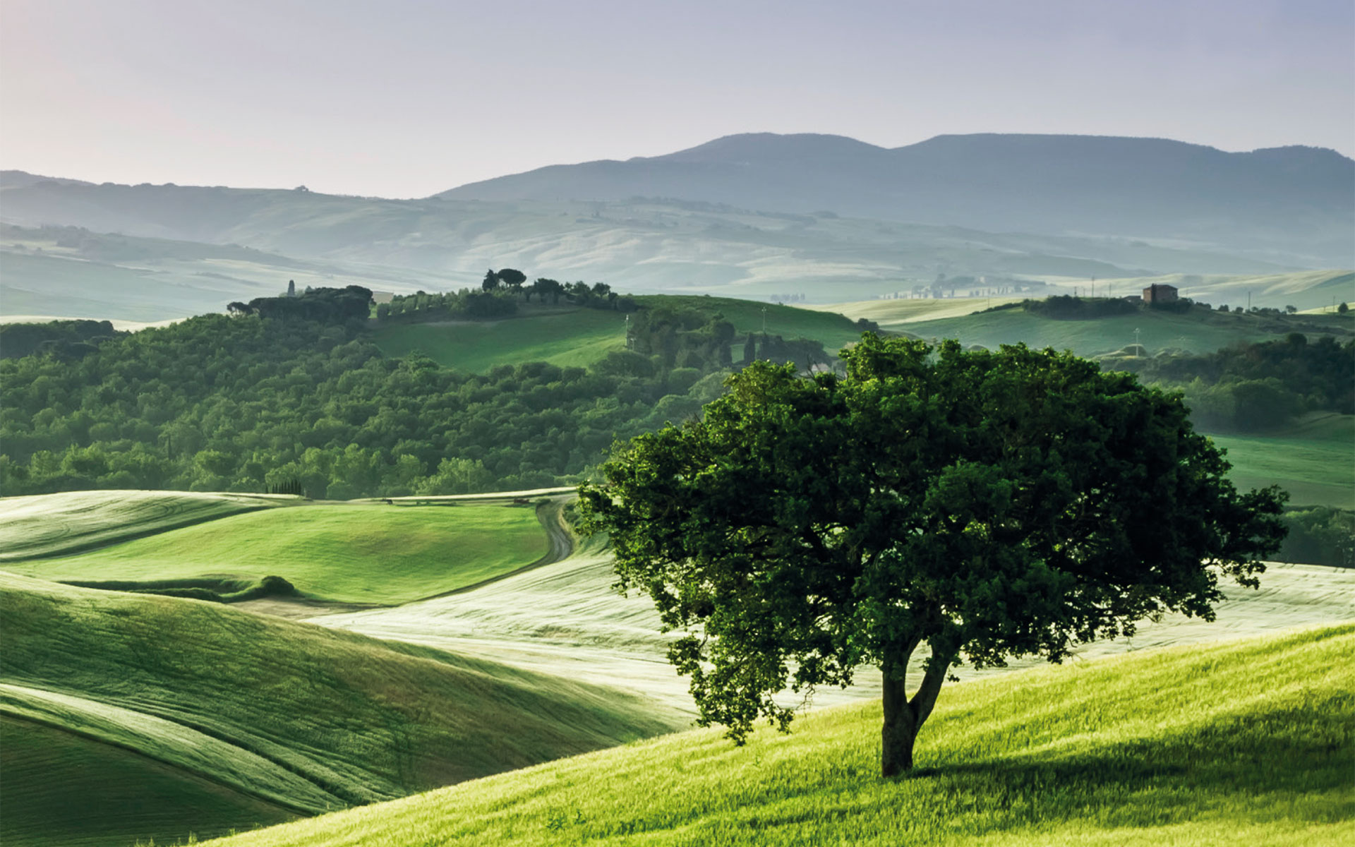 Cultura Italiana Arezzo